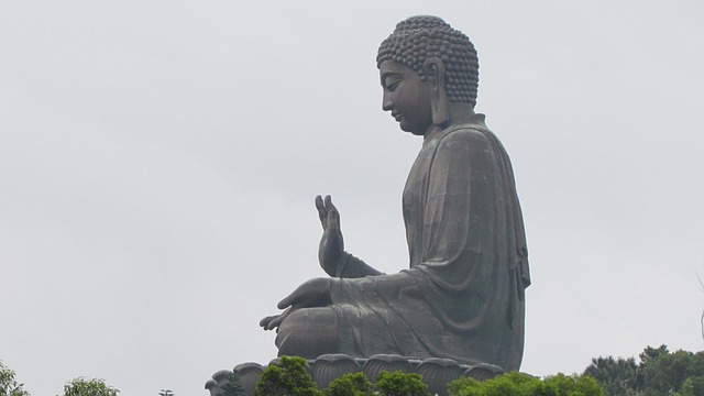 練馬師單場勝率計算方法與數據解讀指南
